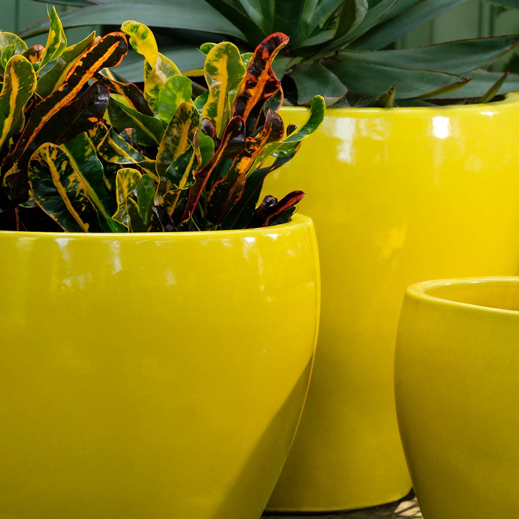 Campania Cabachon Planter, Set of 3 - 1000-1303 - Image 9