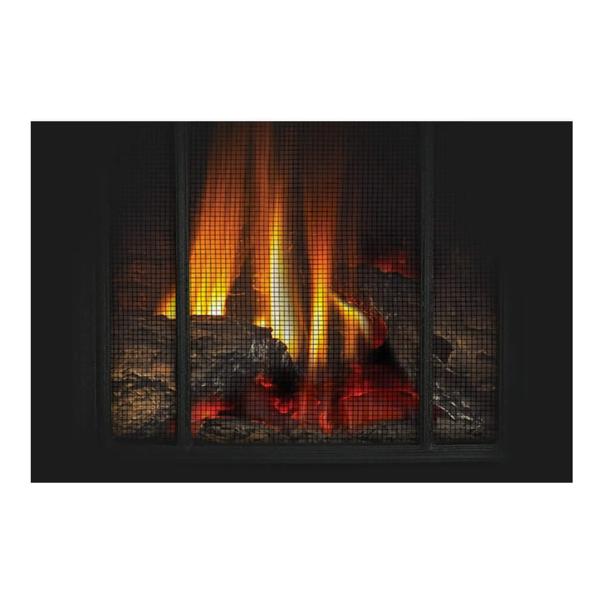 Napoleon Arlington 20 Cast Iron Direct Vent Metallic Black Natural Gas Stove, 19" [GDS20NE] - Image 4