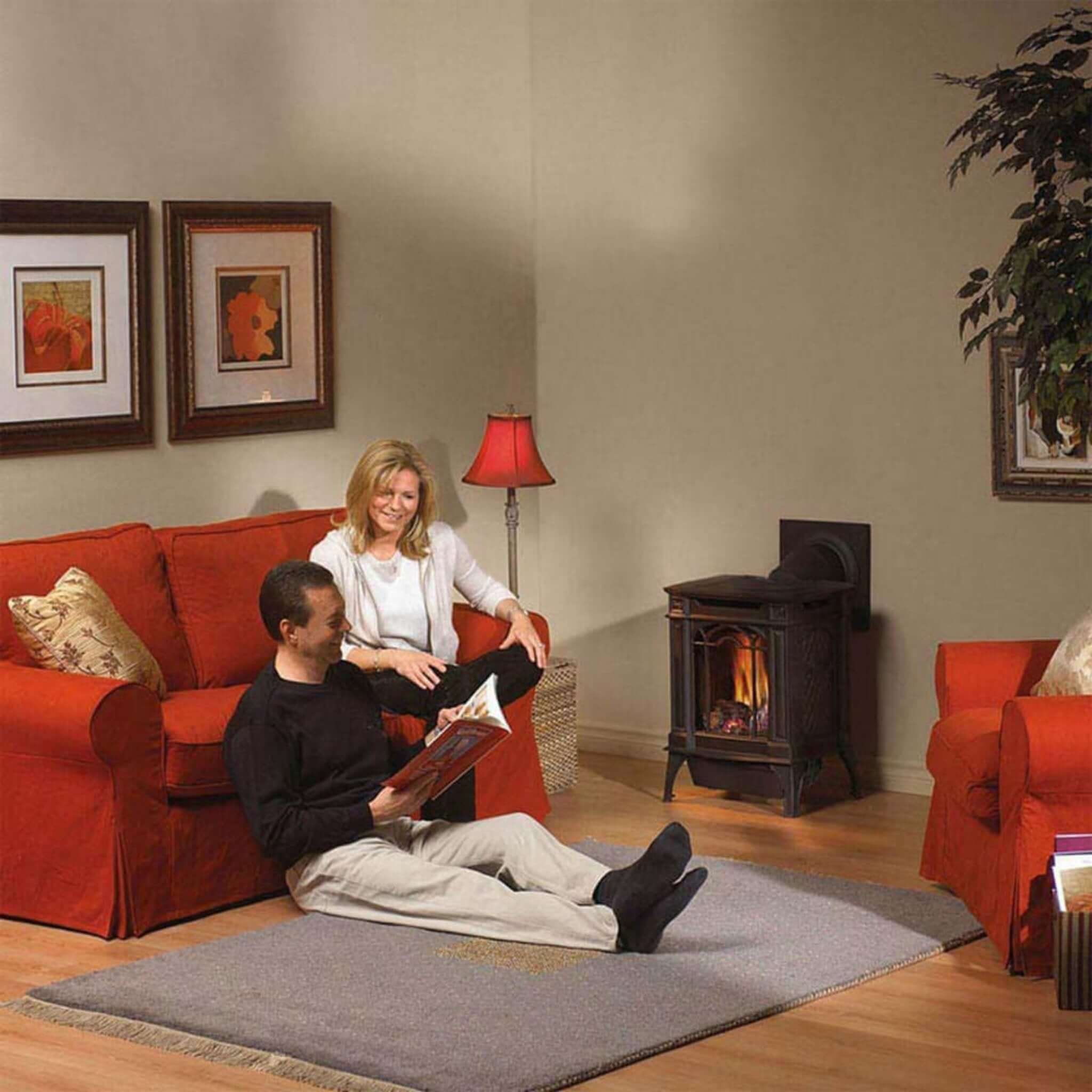 Napoleon Arlington 20 Cast Iron Millivolt Ignition Natural Gas Stove, 19" [GDS20NSB] - Image 4